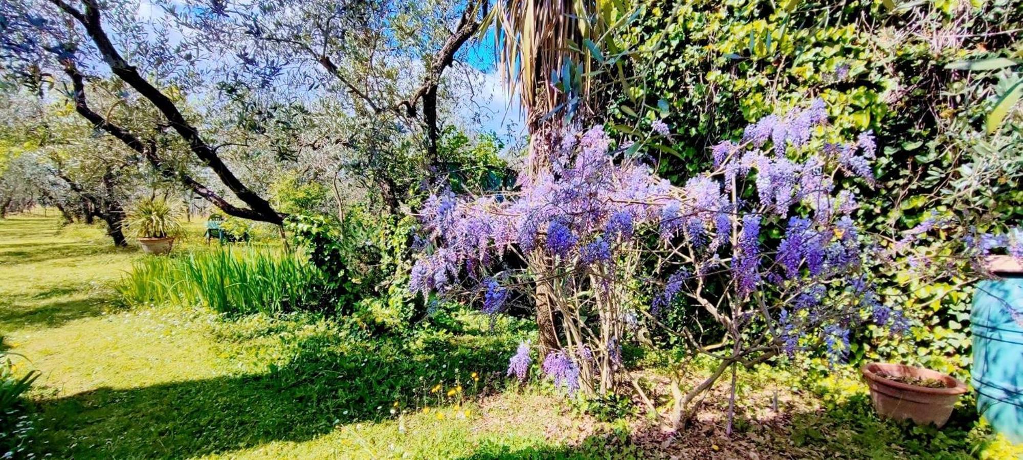 La Casa Dei Nonni Villa Larciano Ngoại thất bức ảnh